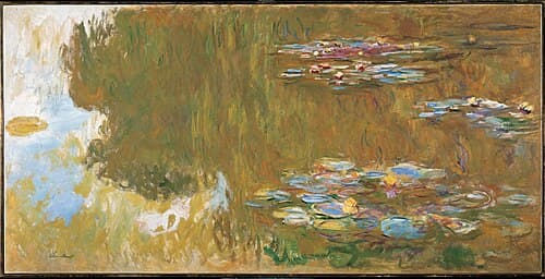 The Water Lily Pond