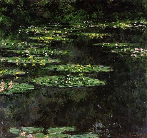 Water Lilies