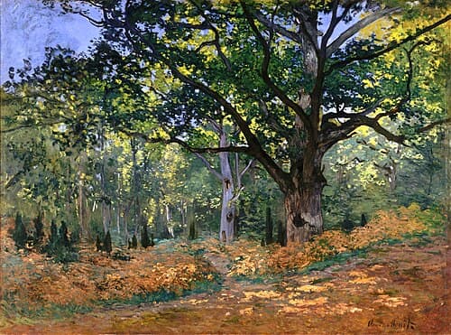 The Bodmer Oak, Fontainebleau Forest