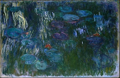 Water Lilies