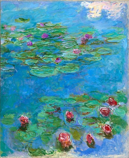 Water Lilies