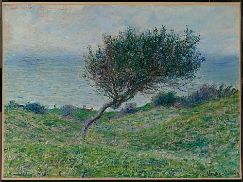 Seacoast at Trouville