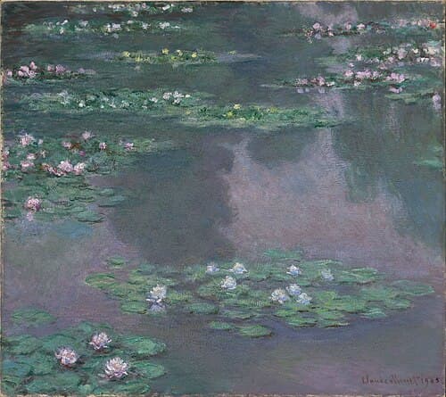 Water Lilies