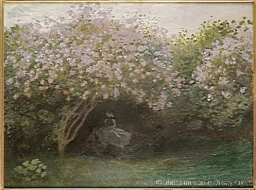 Lilas, Temps gris