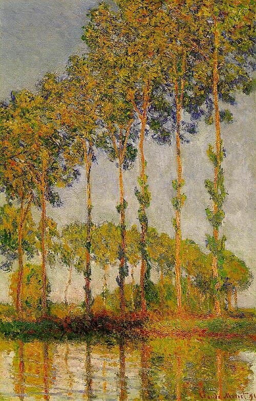 Row of poplars in autumn