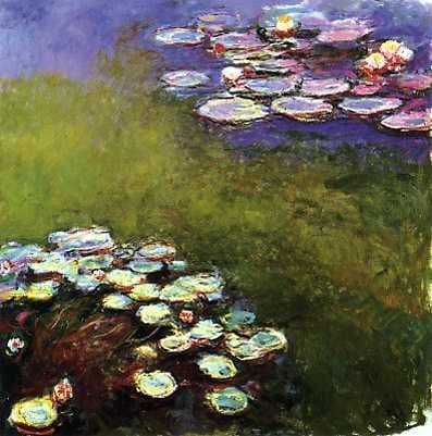 Water Lilies
