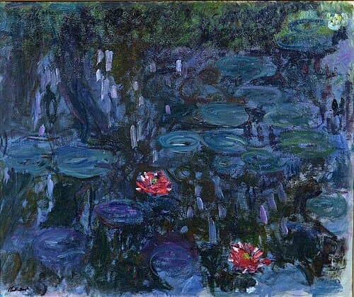 Nymphéas, reflets de saule