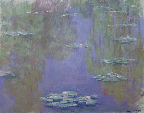Nymphéas