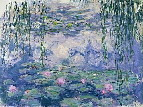 Water Lilies