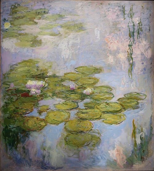 Water Lilies