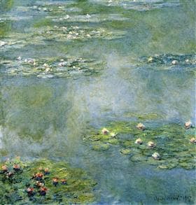 Water Lilies