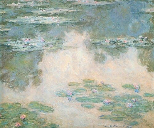 Water Lilies