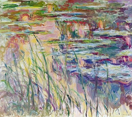 Water-Lilies, Reflections on the Water