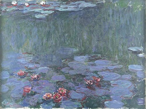 Water Lilies