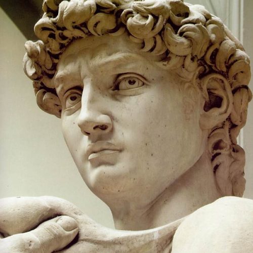 Statue of David Academia Aesthetics