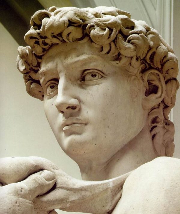 Statue of David - Michelangelo - 1504 - Italy | Academia Aesthetics